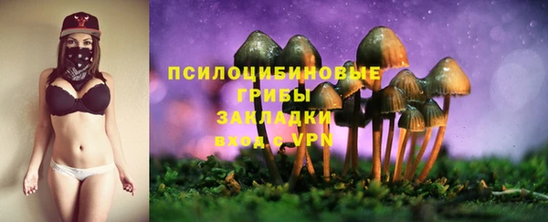бутират Нязепетровск