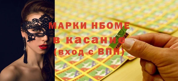 гашик Новозыбков