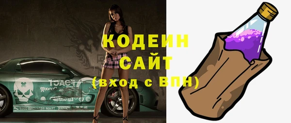 гашик Новозыбков
