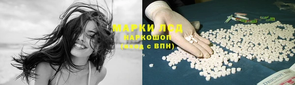 гашик Новозыбков