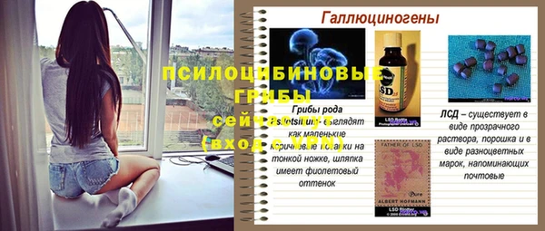 гашик Новозыбков