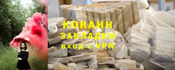 гашик Новозыбков