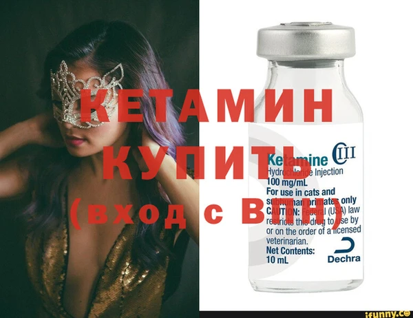 гашик Новозыбков