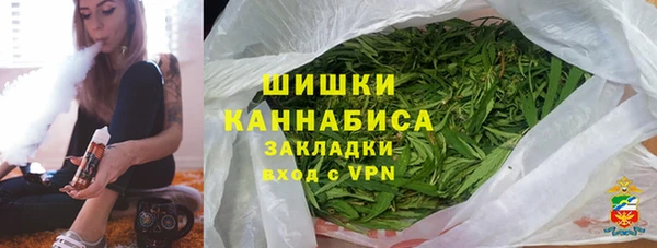 гашик Новозыбков