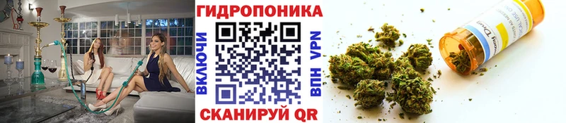 где можно купить наркотик Остров Марихуана White Widow